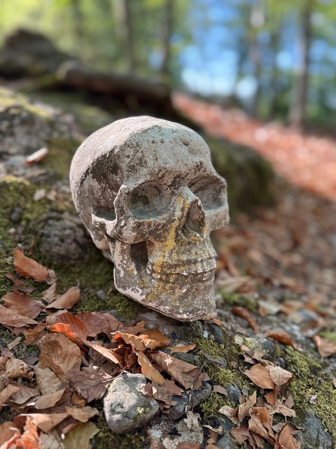 Crâne décoratif De la mort qui tue en forêt Crâne décoratif en pierre posé sur un rocher moussu, entouré de feuilles d'automne en forêt